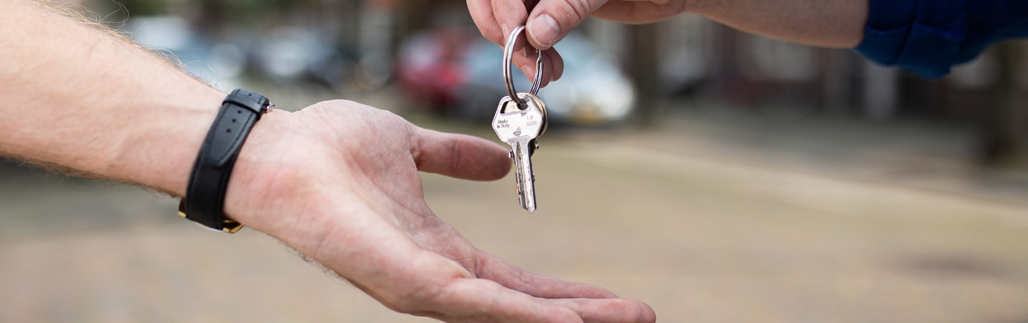 Beatrijs de Jong Makelaardij